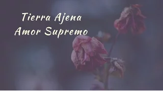 Carla Morrison - Tierra Ajena (letra)