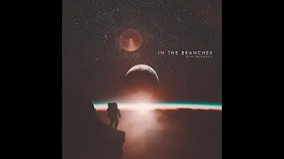 In The Branches - Vivid Memories (Ambient Guitar, Space Music, Official Full Album)