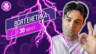 Вся генетика за 30 минут! Решение генетики для ЕГЭ по биологии!