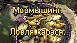 Мормышинг. Ловля карася на мормышку.