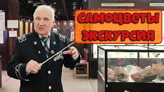 Экскурсия в музее Самоцветы.