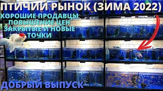 ПТИЧИЙ РЫНОК САДОВОД МОСКВА (ЗИМА 2022) l АДЕКВАТНЫЕ ПРОДАВЦЫ, ЗАКРЫТЫЕ  ТОЧКИ, ПОВЫШЕНИЕ ЦЕН И ДР.