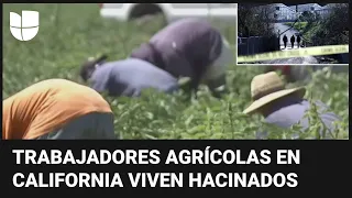 Una tragedia dejó al descubierto las terribles condiciones en las que viven trabajadores agrícolas