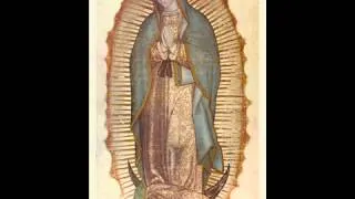 The Amazing and Miraculous Image of Our Lady of Guadalupe   Luther