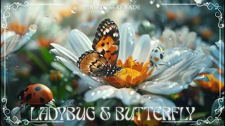 Amazing Colors of LADYBUG & BUTTERFLY 🌿🦋 4K Nature Relaxation Film  & Birdsong ♫ - #121