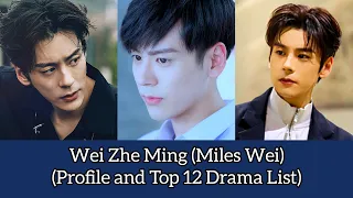 Wei Zhe Ming 魏哲鸣 (Miles Wei)  Profile and Top 12 Drama List If The Voice Has Memory (2021)