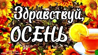 ПРИВЕТ ОСЕНЬ 🍁 Супер Красивое Поздравление С Первым Днём Осени 🍂 С Началом Осени Открытка