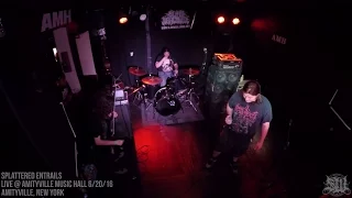 SPLATTERED ENTRAILS - FULL SET LIVE (AMITYVILLE MUSIC HALL 6/20/16) SW EXCLUSIVE