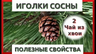 ЧАЙ ИЗ ХВОИ СОСНЫ ПОЛЬЗА