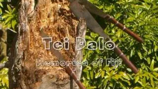 Fijian Classic Children song:Tei Dalo