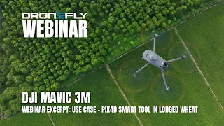 Webinar Excerpt | DJI Mavic 3M Multispectral - Use Case -Pix4D Smart Tool in Lodged Wheat | Dronefly