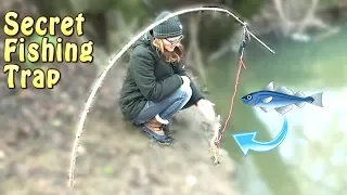 A trap which does the fishing for you