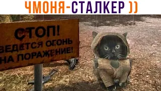 ✅ ЧМОНЯ ))) Игровые мемы | Мемозг 979