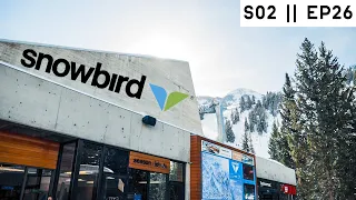 spring SKIING at SNOWBIRD! | vanlife utah