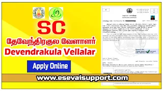 Devendrakula Vellalar Apply Online Tamil | SC | New Update | eSevai | Community Certificate | CSC