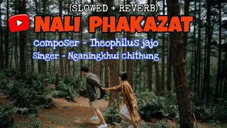 NALI PHAKAZAT ~ NGANINGKHUI CHITHUNG || (Slowed + Reverb) lyrics song.