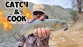Silverwood Lake Trout Fishing | Catch and Cook