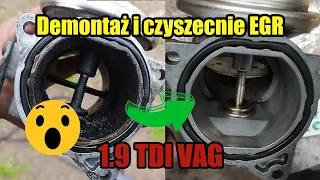 Demontaż + czyszczenie + test zaworu EGR 1.9 TDI