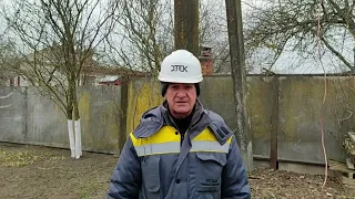 Ще одне укріплене лелече гніздо