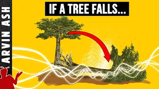 If a tree falls in a forest. And no one is around to hear it, does it make a sound? Answer!