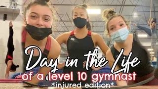 DAY IN THE LIFE OF A LEVEL 10 *INJURED* GYMNAST?! (broke my back... lol I'm not kidding)