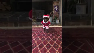 Kiki Santa impression