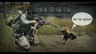 Что ты сделал? - DayZ