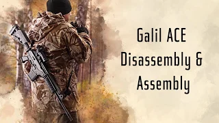 IWI US Expert's Corner: Galil ACE Disassembly & Assembly