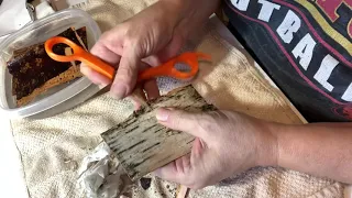 Cleaning My Birch Bark