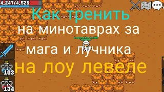 Rucoy Online секретный способ трена на минотаврах за лучника и мага на лоу защите