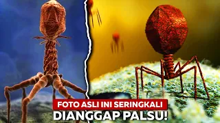 Inilah Kumpulan Foto-Foto Asli yang Susah Dipercaya Namun Beneran Ada dan Terjadi!