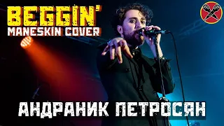 #АндраникПетросян | Beggin’ | Måneskin cover | #LadiesParty 08.03.2022