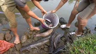 Top Wild Fishing Exciting, Unique Catch Big Fish In The Wild Lake With A Large Capacity Pump