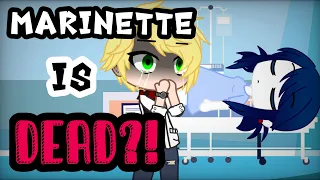 Marinette is Dead?! | Prank Gone Wrong | MLB