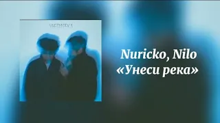 Nuricko, Nilo - Унеси река (lyrics, текст)