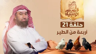 نبيل العوضي | أربعة من الطير .. ماذا طلب إبراهيم الخليل من ربه ؟