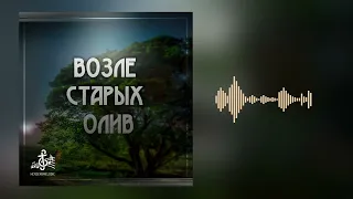 Возле старых олив… ПРЕМЬЕРА ПЕСНИ | Herzensmelodie 🎶