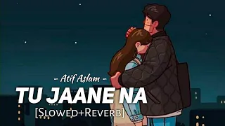 Tu Jaane Na [Slowed + Reverb] - Atif Aslam | Ranbir Kapoor | Katrina Kaif |  Full Song