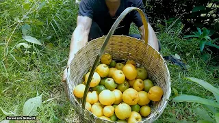 Enjoy forest fruits, Find and extract wild lemon tree - survival instinct | Ep. 165