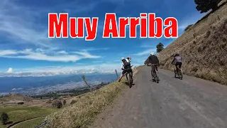 MTB - BikeStation Cartago | Exclusivo E-BIKE