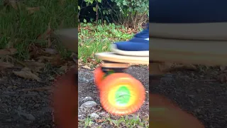 Putting Giant Wheels on Tiny Longboards #longboard #loaded #experiment #