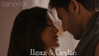 Ilgaz & Ceylin | Senorita | Yargı