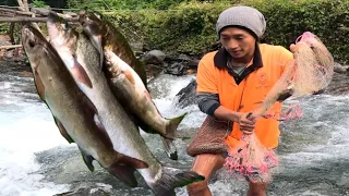 fishing  pure fresh 🐠 🐟 cook & eat locial style!!!! Arunachal Pradesh northeast India