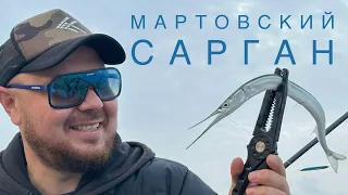 Мартовский сарган на пилькеры 🎣 Вечерний выход!