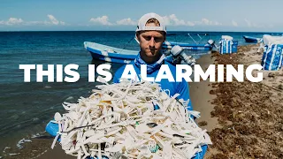 We Discovered Shocking Amount of Single-Use Plastic on Local Beach | 4ocean Cleanups