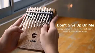 Andy Grammer - "Don't Give Up On Me" - from Five Feet Apart (Seeds kalimba cover)