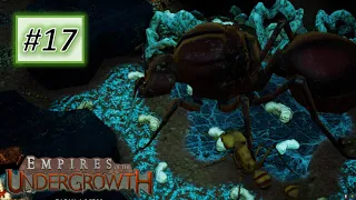 Empires of the Undergrowth #17 - Extra stage 7: Leafcutter Ants Domination (No Commentary)