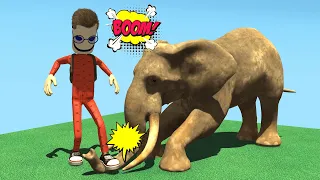 Nick stepped on the Elephant's nose on purpose, Funny story