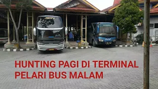 Hunting Pagi Di Terminal BPRS Pekanbaru || 4 Bus pelari malam keluar dari Terminal Bersamaan