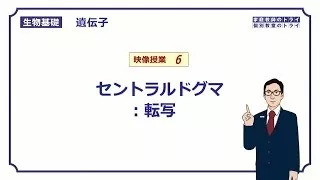 【生物基礎】　遺伝子6 セントラルドグマ：転写 （１４分）